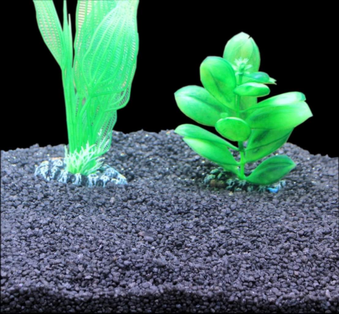 Ocean Black Sand